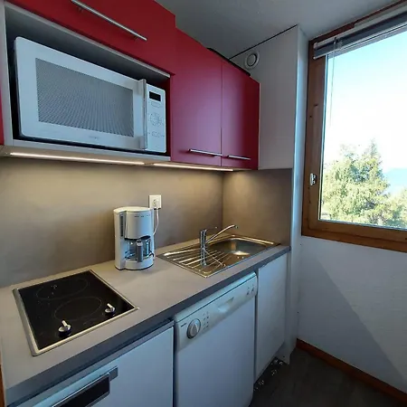 Confortable Pour 3 Avec Balcon Et Animaux Acceptes A - Fr-1-353-9 Apartamento La Plagne
